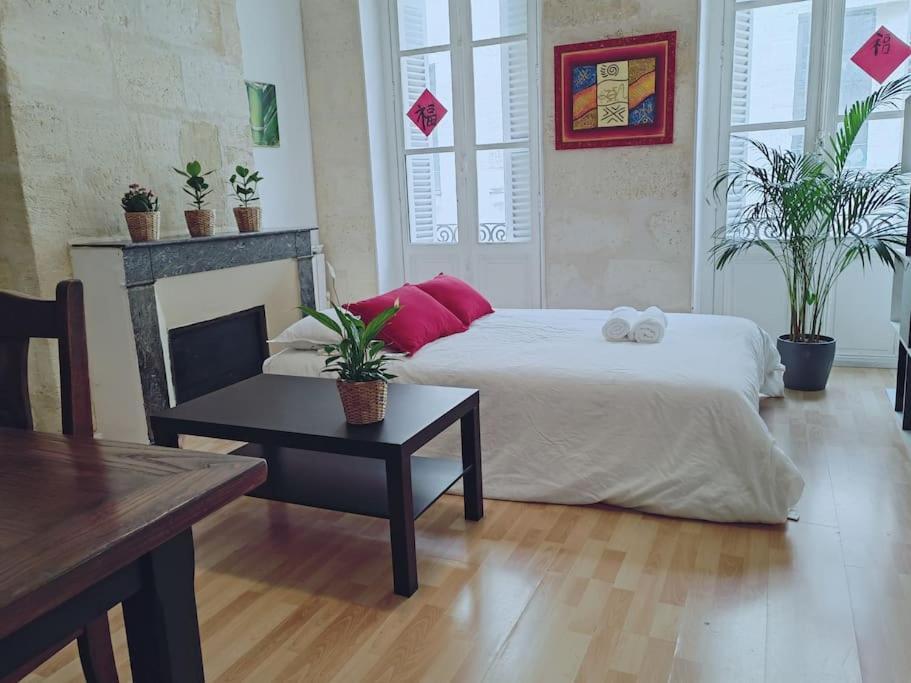 Center Cosy S1 65m2 Appartement